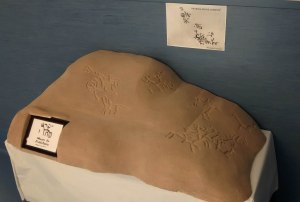 reproducción petróglifo cornide