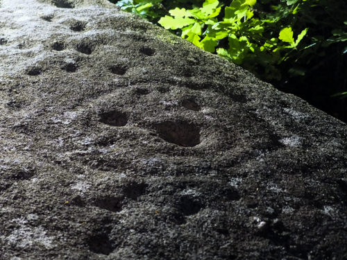 17340369028_1b5a24b591_o