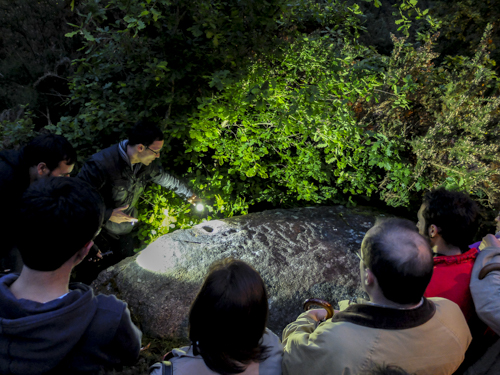 17341819299_cda845f87b_o