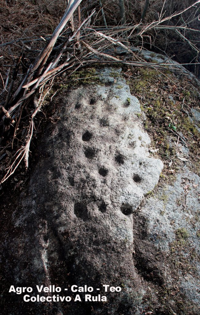 Agro Vello, a nova localización en Mouromorto