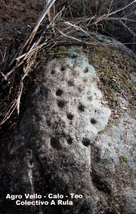 Agro Vello, a nova localización en Mouromorto