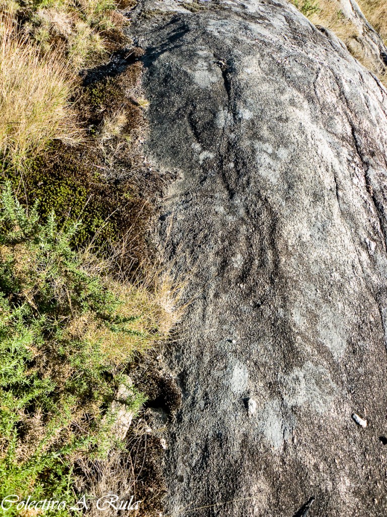 Petróglifo de Campo Redondo