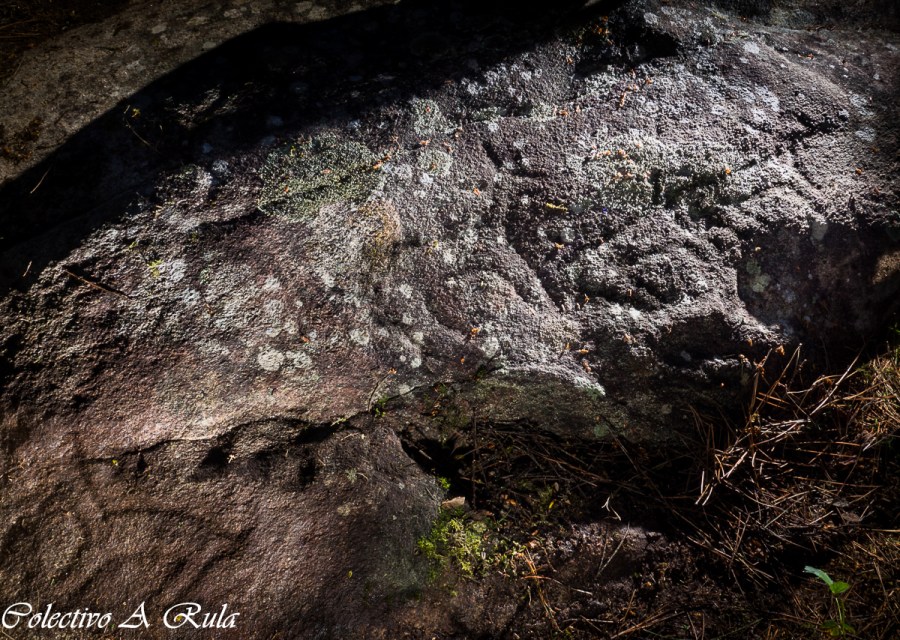 Cervos do petróglifo da Laxe V do Monte Ardegán - Moraña