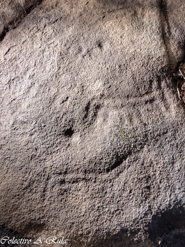 Cervos do sector superior