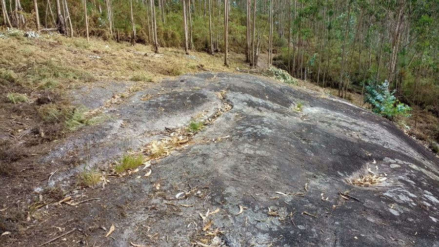 Proceso de limpeza do entorno da Peneda Negra