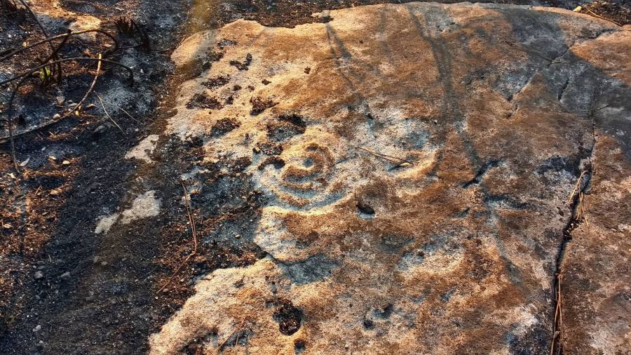 14923009_1312792582088708_204643720_o