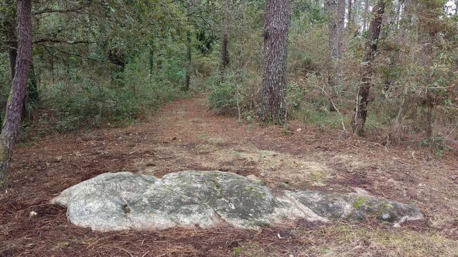 14963427_1312796372088329_37169149_o