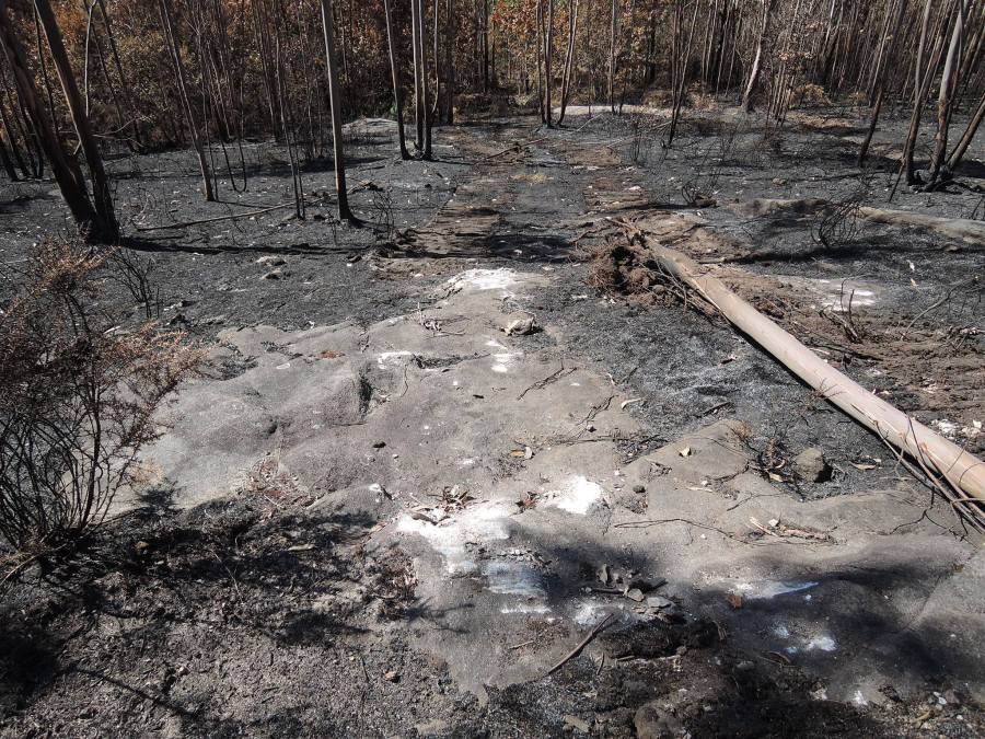 14963513_1312792212088745_870474263_o