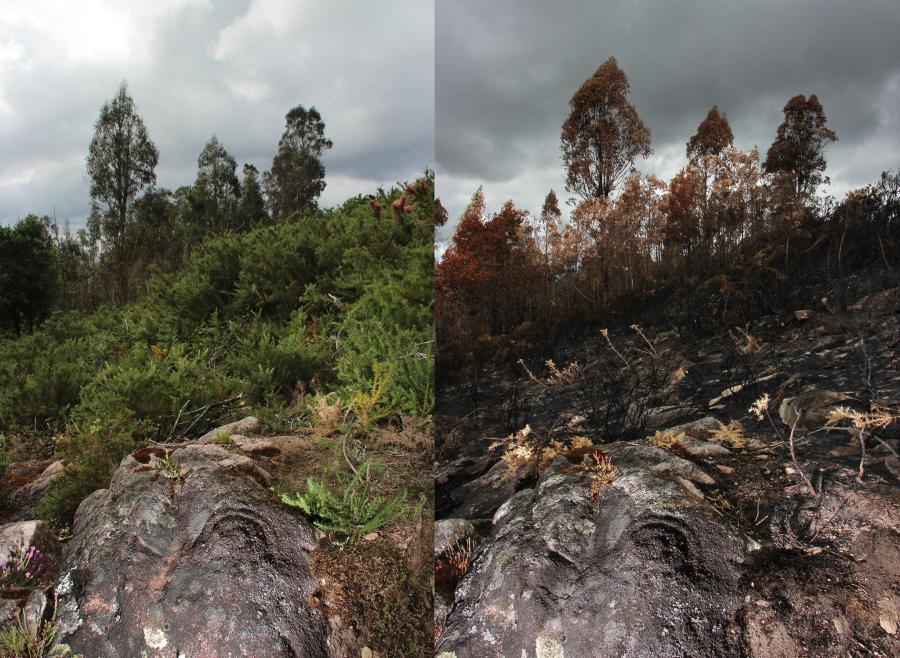 14970992_1312792215422078_2072676174_o