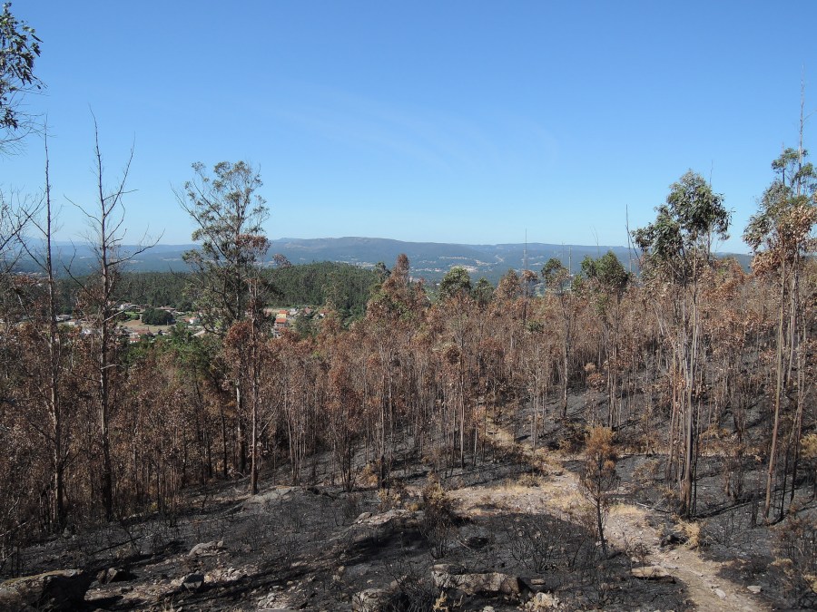 28102898554_98b09f532b_k