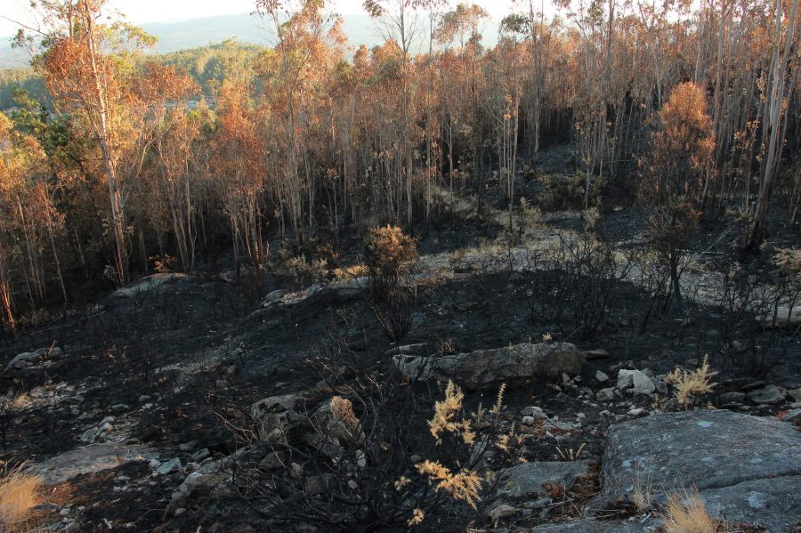 28435867930_9bc95d9268_k