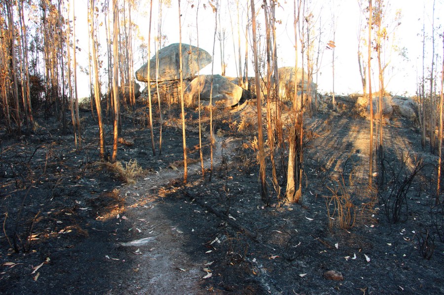 28720263715_865a5dca74_k