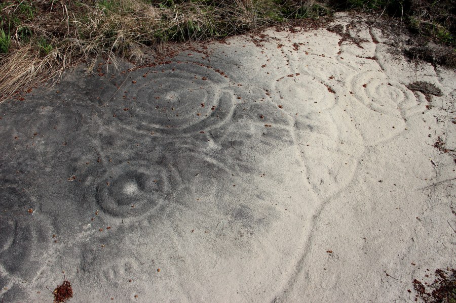 _utf-8_b_rgvjb2xvcmfjae-_vw5zigrlc3bvaxmgzhvuigluy2vuzglvli__-___filename_1__bqzxq_-_utf-8_b_cu-_vwdsawzvigrhicbccmvpysaovmlhbmegzg8gq__-___filename_2__2fzdgvsbykuanbn_