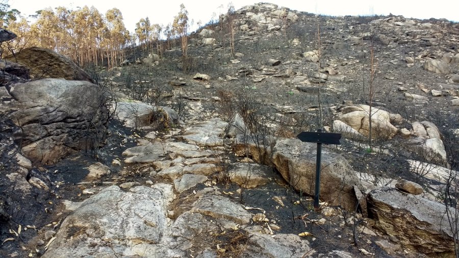 _utf-8_b_u2luywwgzgegcnv0ysbkb3mgcgv0cu-_vwdsr2w_-_utf-8_b_bwiztwdar1vnutjgagjxserzvzh1yw5cbj89_