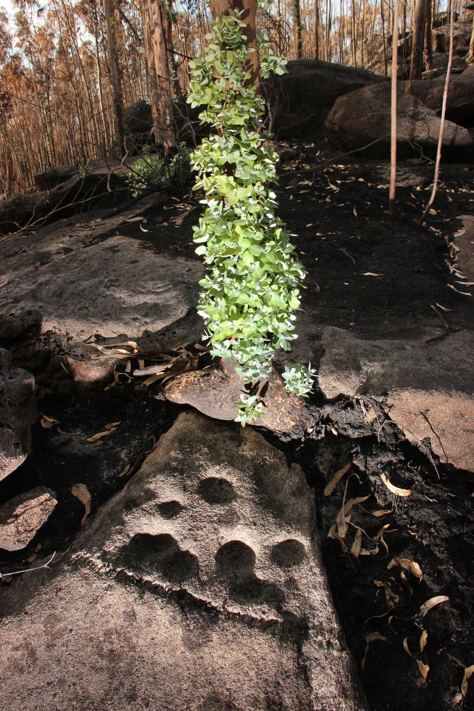 _utf-8_b_umv4zw5lcmfjae-_vw4gzg9zigv1y2fsaxa_-_utf-8_b_d__-___filename_1__g9zigrlc3bvaxmgzg8gsw5jzw5kaw9fra_-_utf-8_b_zxrhbgxlicbk__-___filename_2__bybwzxry77-9z2xpzm8gzg8_-_utf-8_b_ien