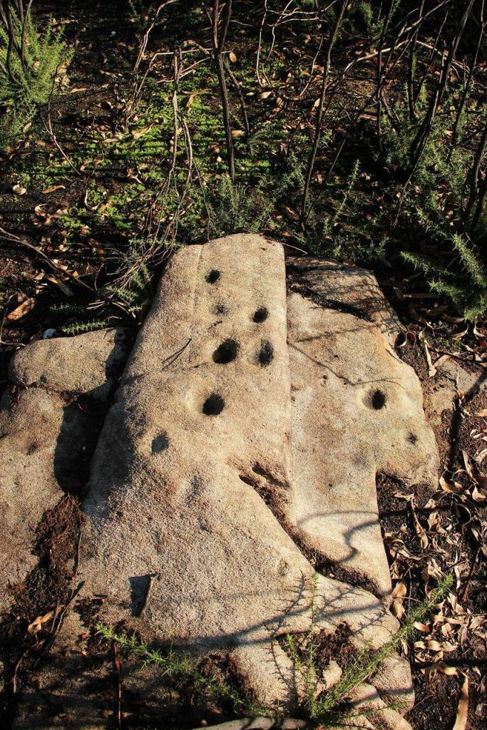 15682396_1395356490498983_2092447860_o