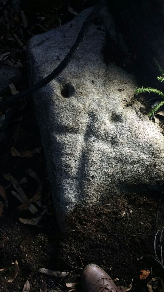 30871933533_3230a6841e_o