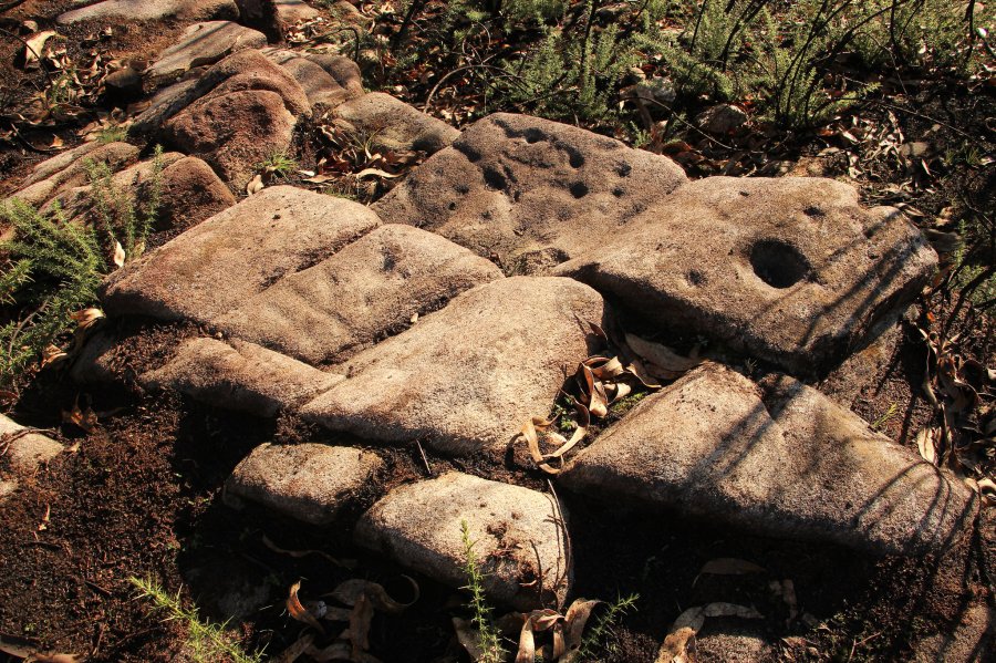 Panel 6. Agro do Campo 3