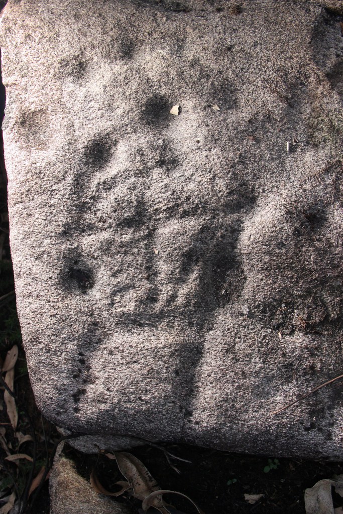 31309798040_4132faf494_k