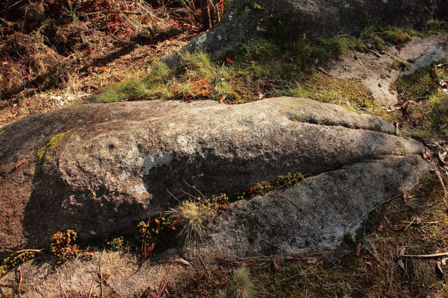 31369435760_fcf57881ce_k