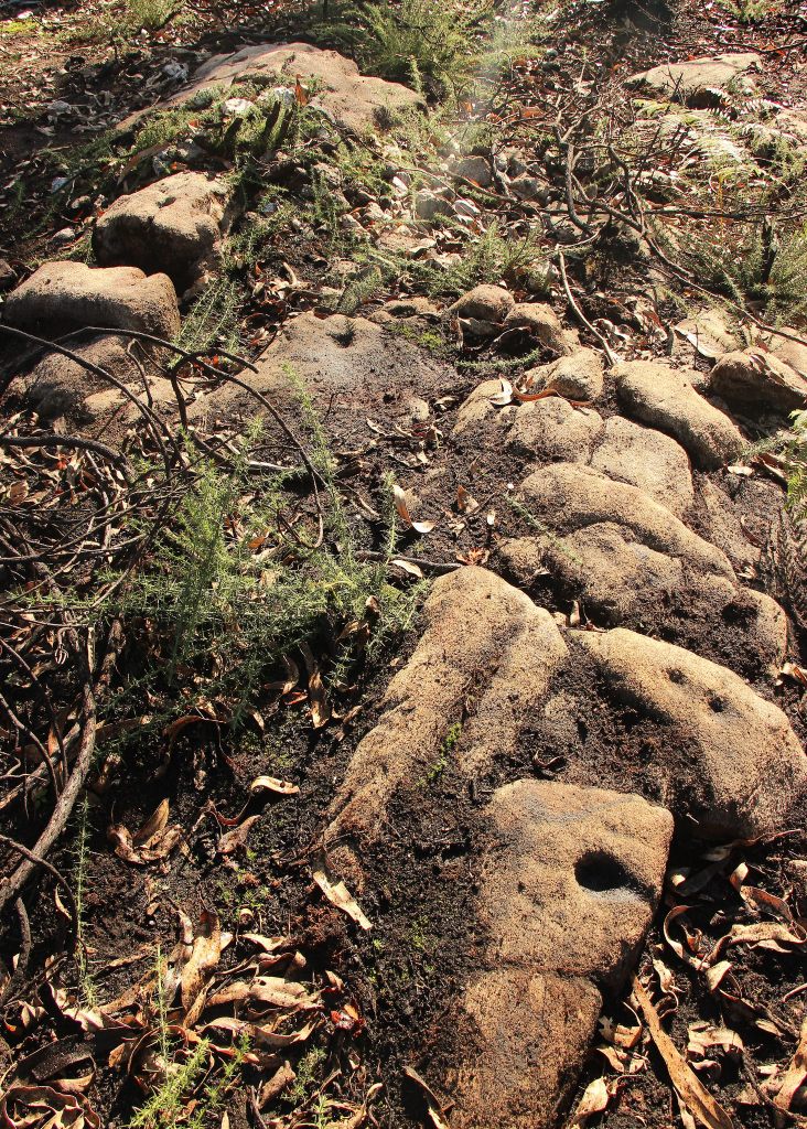 31741696365_2bfe20d892_k