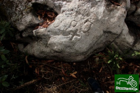 50015670991_41375dafeb_k