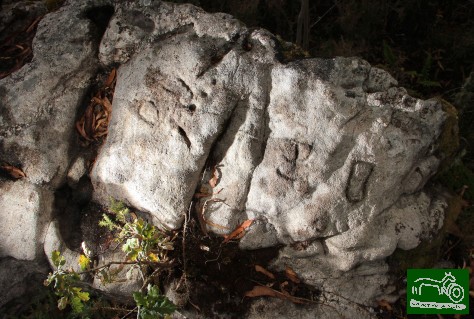 50015932372_ed157ffd75_k (1)