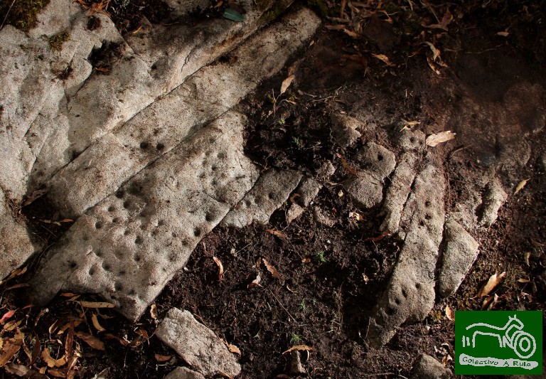 50015932582_99dab2b4c0_k (1)