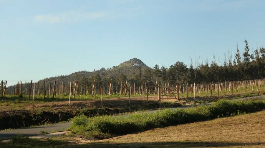 51129124404_354c72408c_k