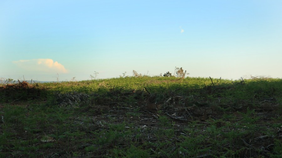 51129276333_4104493539_k