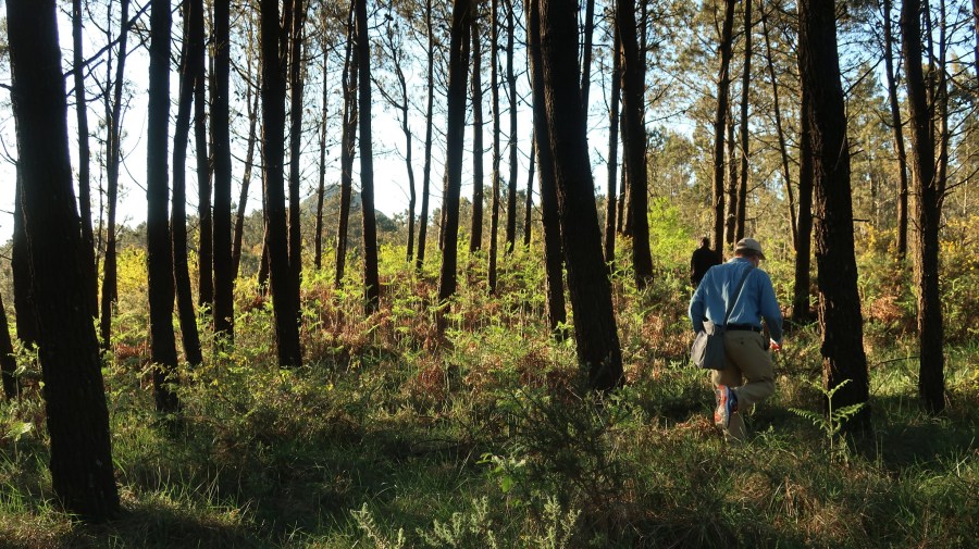 51130180055_2099ca7063_k