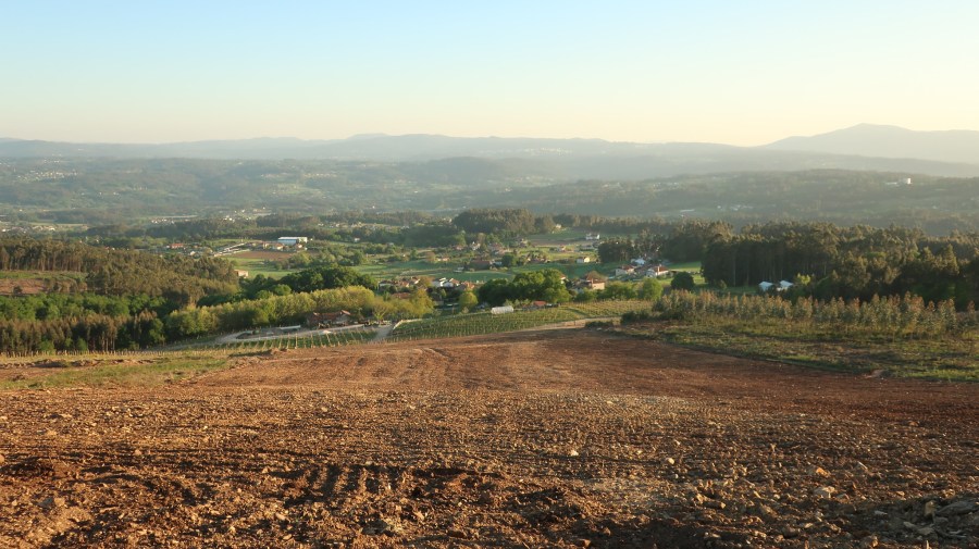 51140601553_6cf15b1253_k