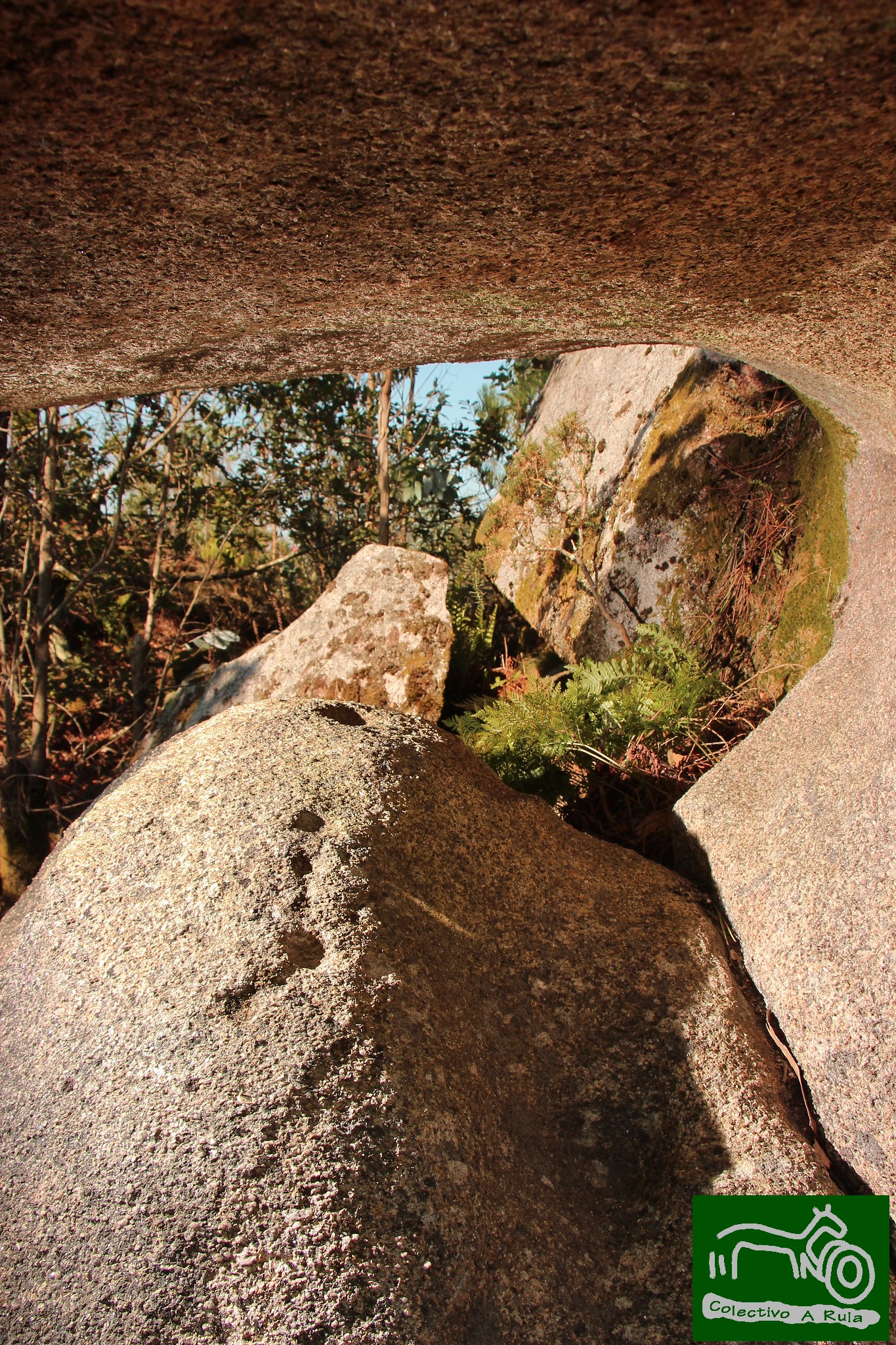 50399676998_336b007780_k