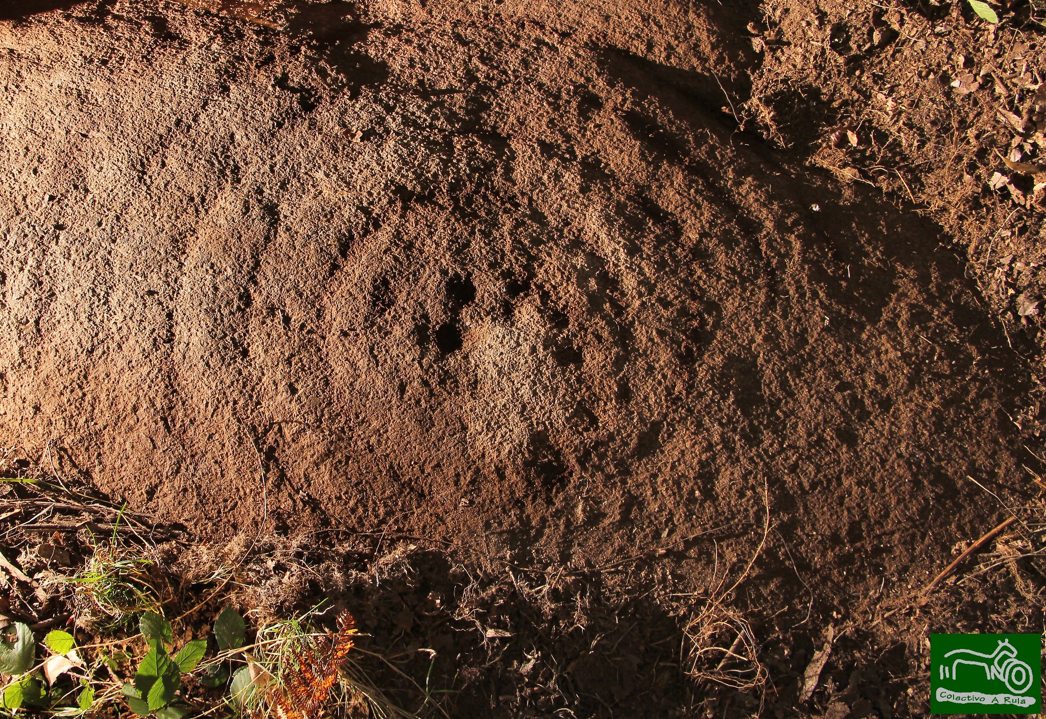 50400376496_fa30c900b0_k