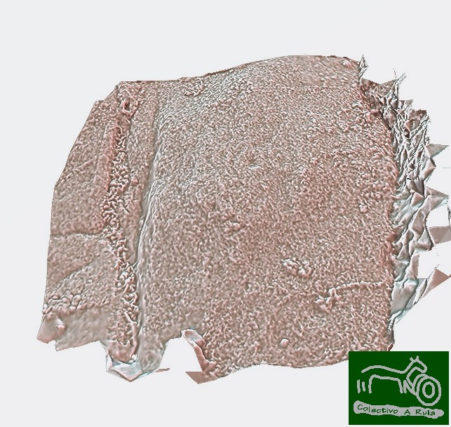 51152112770_41fc422d17_h