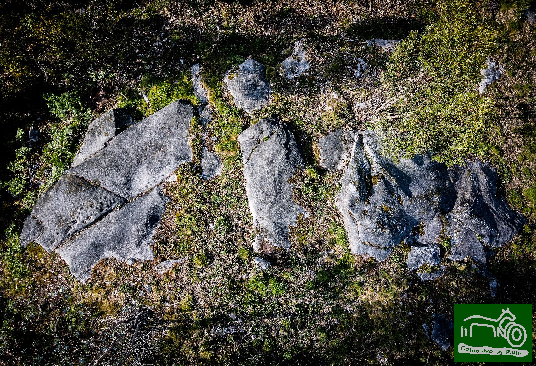 51207021716_a36c089c2f_k