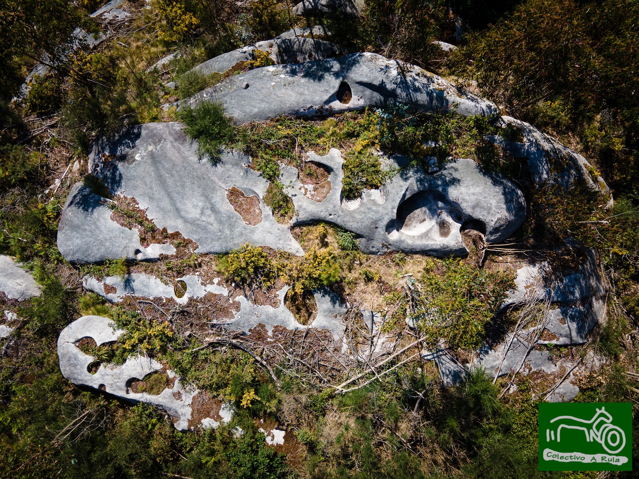 51212280366_5db1f34a2d_k