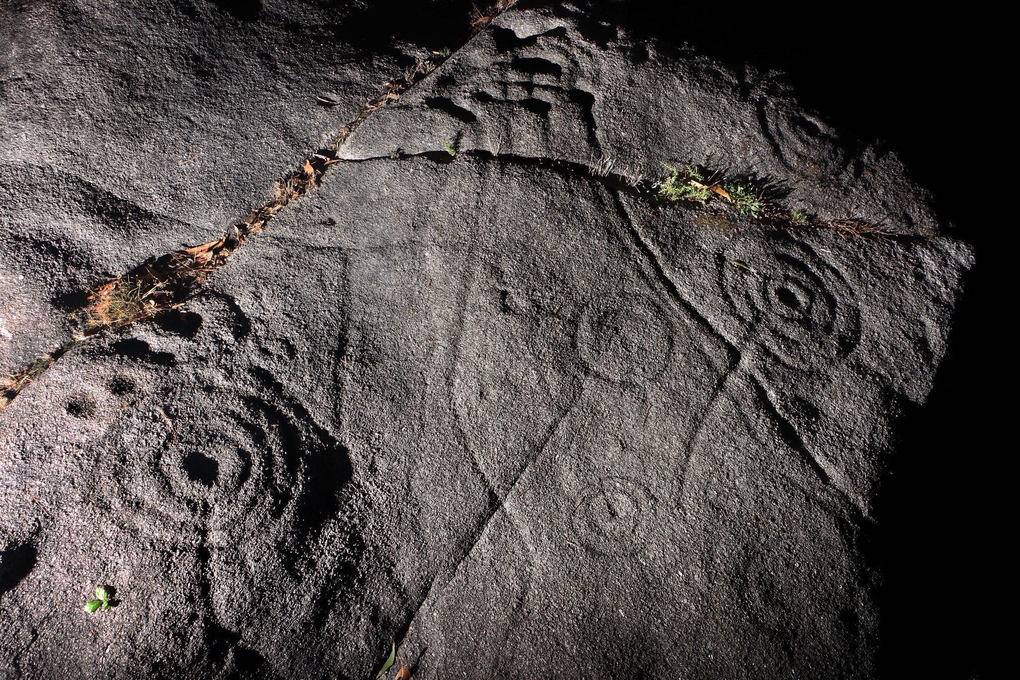 51485532488_2c87bcea86_k