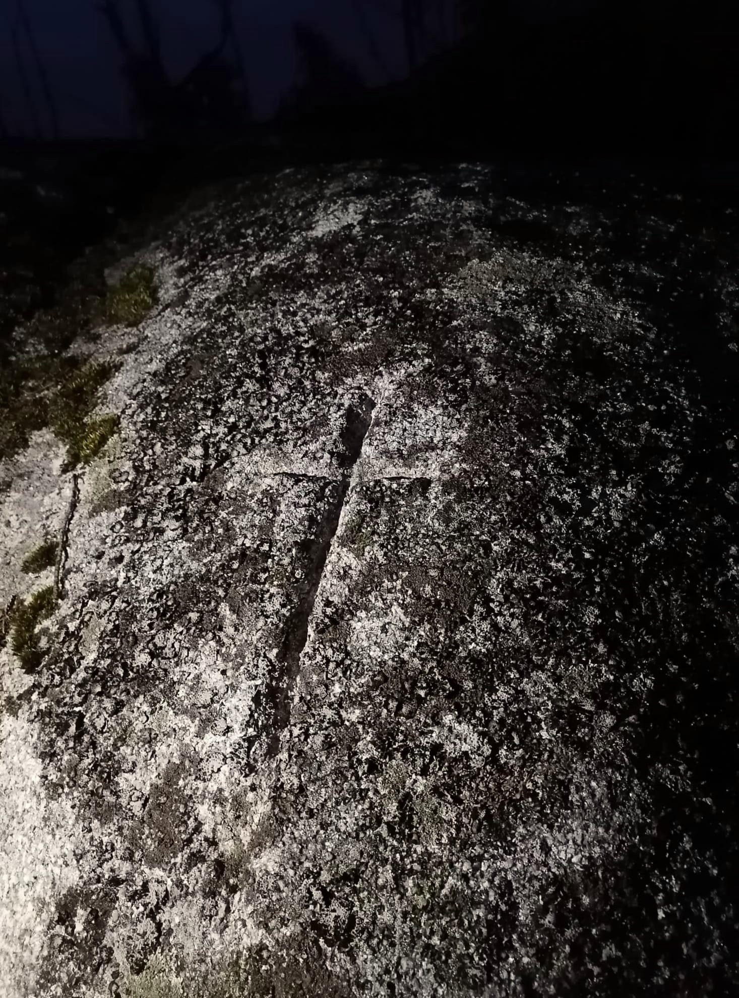 51486027119_d666cc5889_k (1)