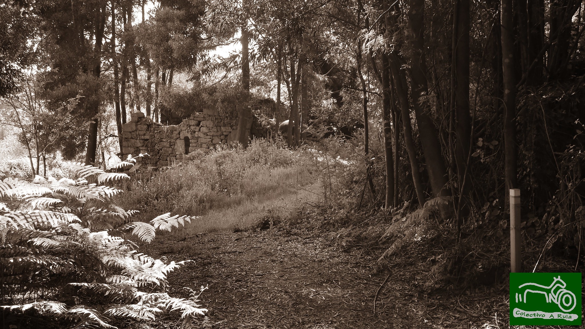 51161958559_4c46895f3c_k