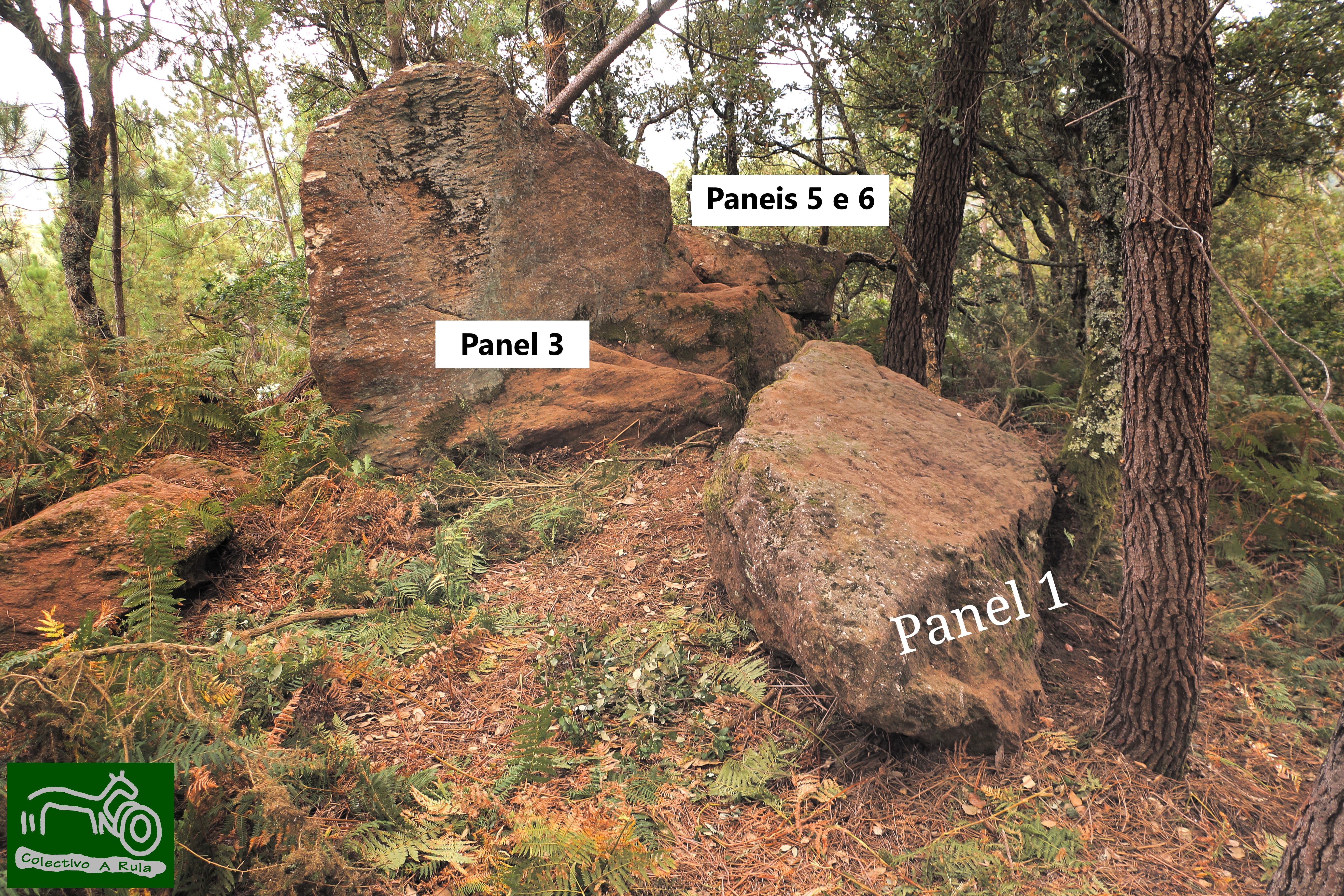 51352330483_7531a3a1fa_o