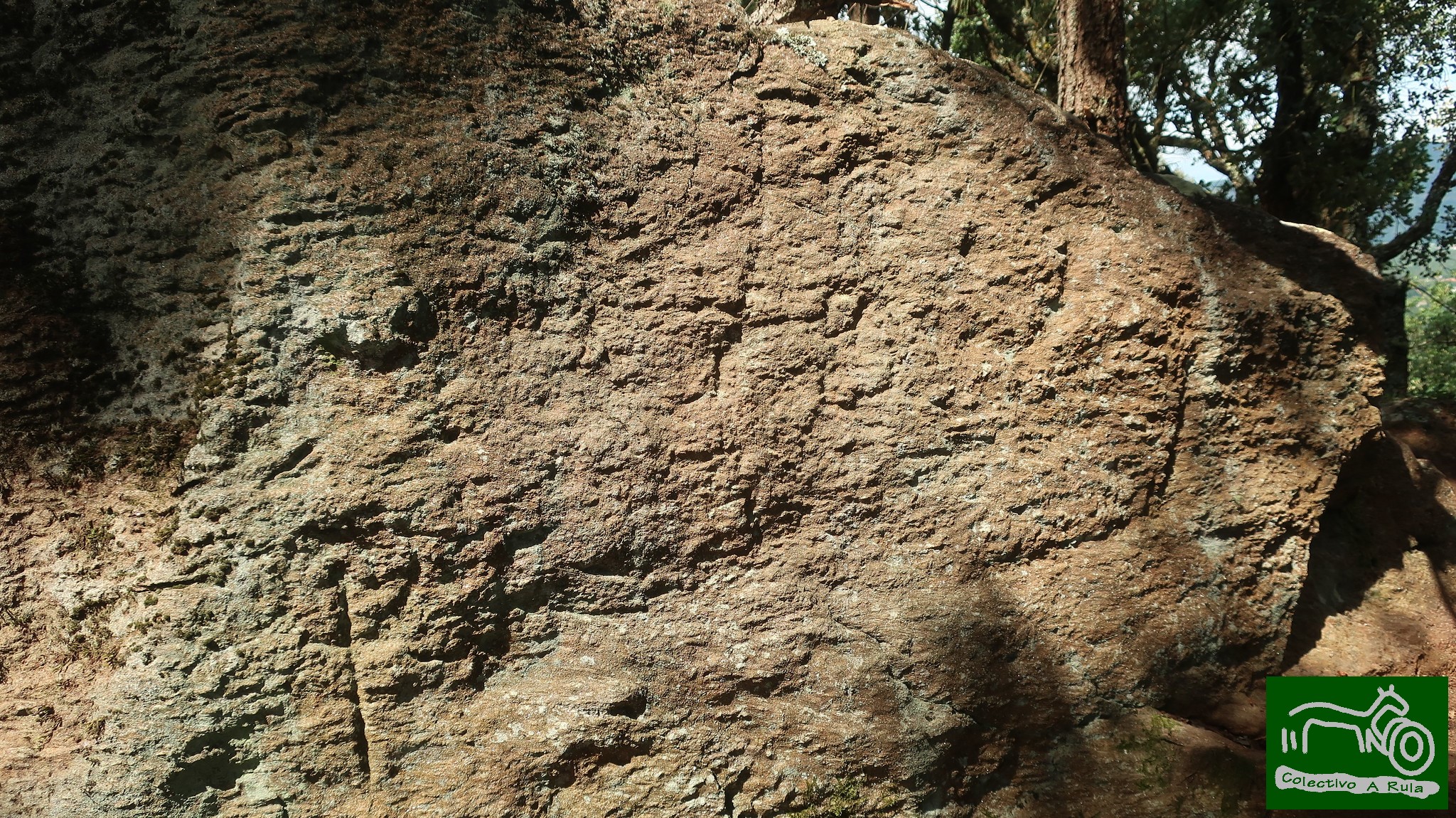 51352356473_b5f62e973e_k