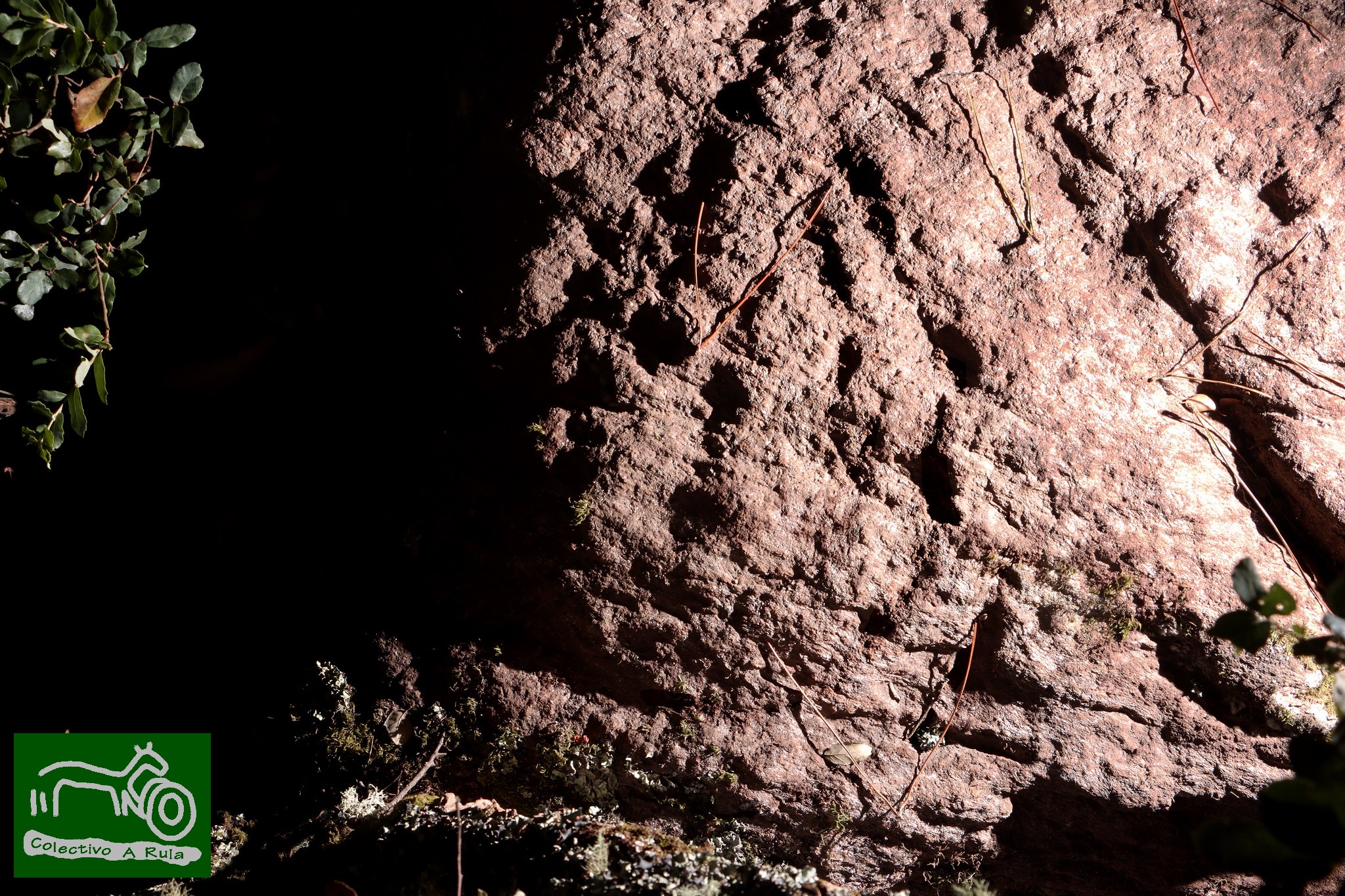 51364632523_187deda8d7_k