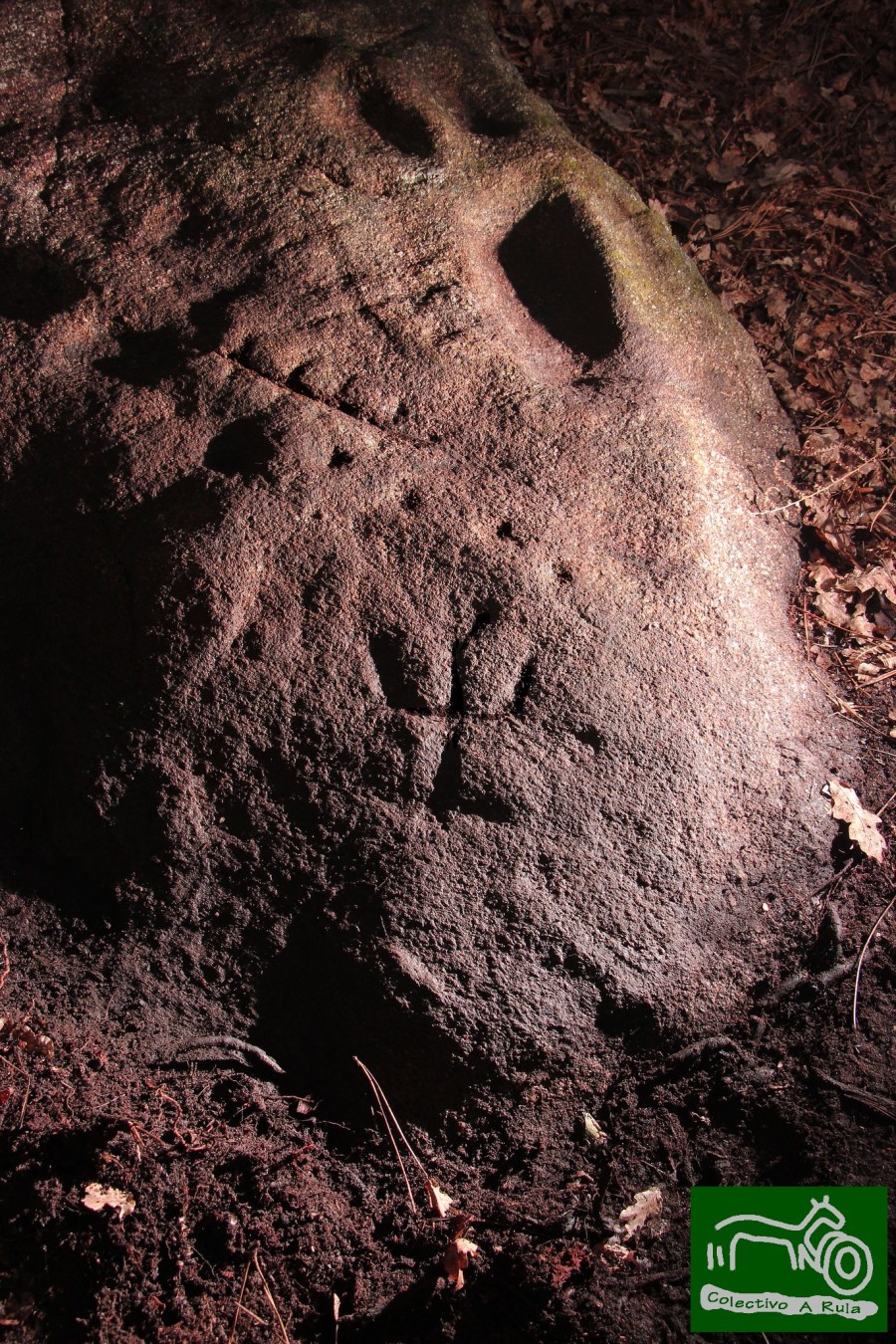 51014501248_86c4e5d422_k