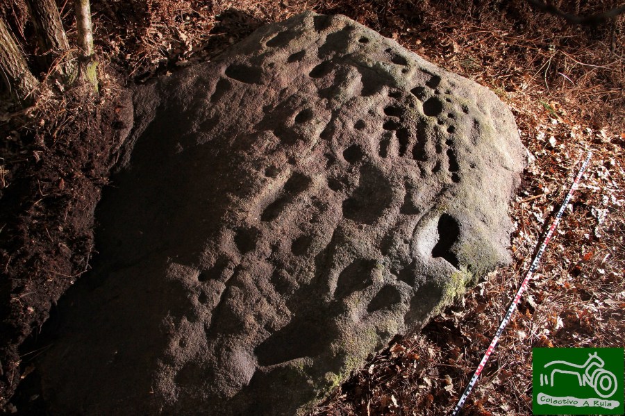 51015317447_f17d71e8a0_k