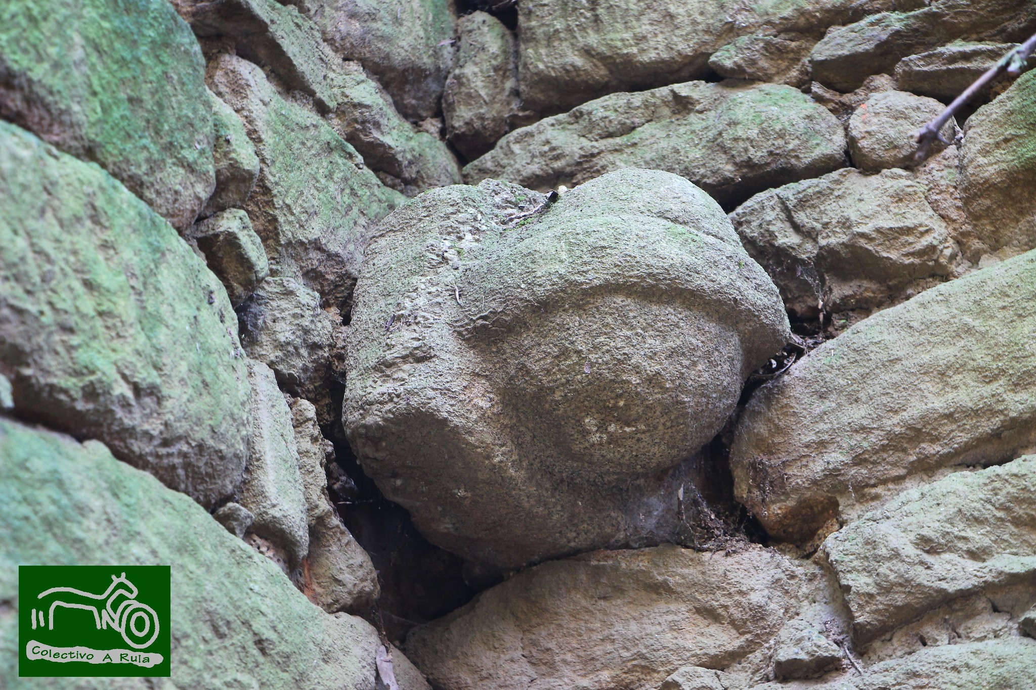 51095887566_41b405e010_k