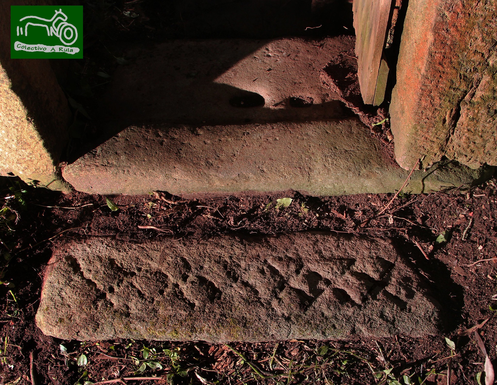 51095908639_e5383fca0e_k