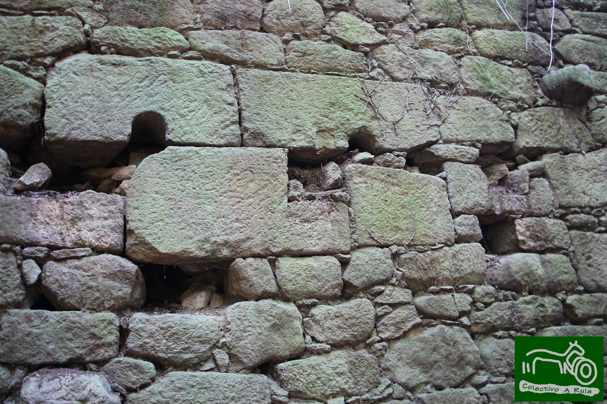 51095969994_bc7c3f9ffc_k