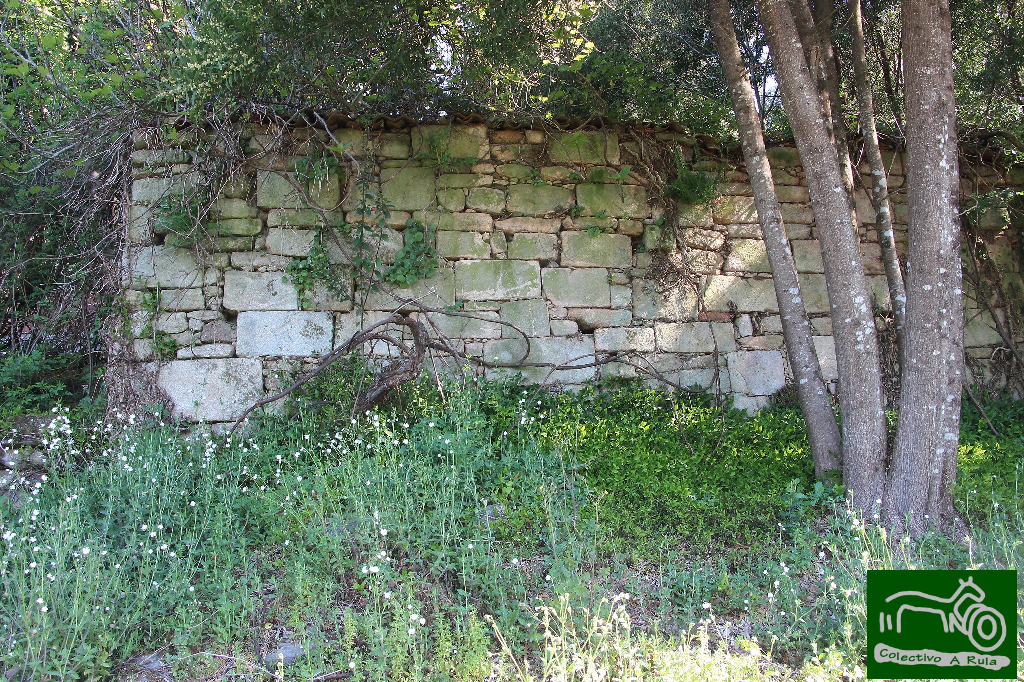 51096694575_128414c313_k