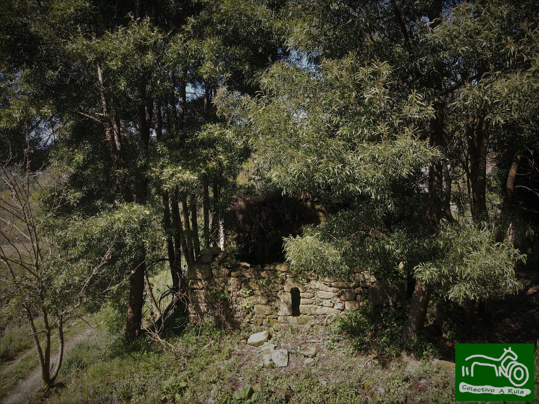 51106084992_71ca425af0_k